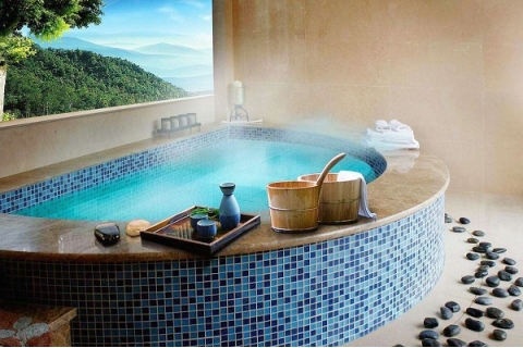 ForEarth Series Product for Swimming Pool & SPA