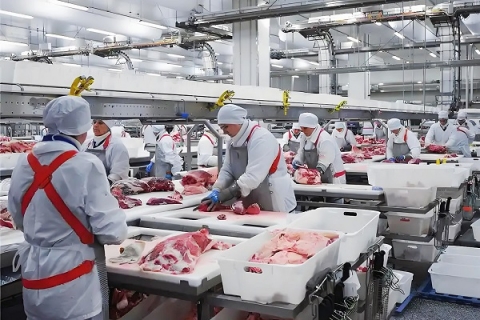 ForEarth Series Product for Meat Processing Plant